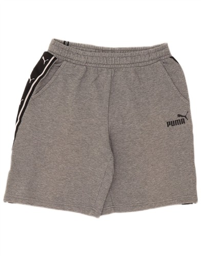 Puma mens graphic - puma, sport