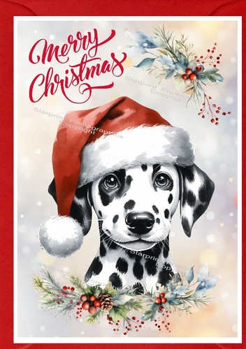 Dalmatian dog christmas card - christmas,