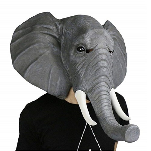 African elephant realistic - elephant,