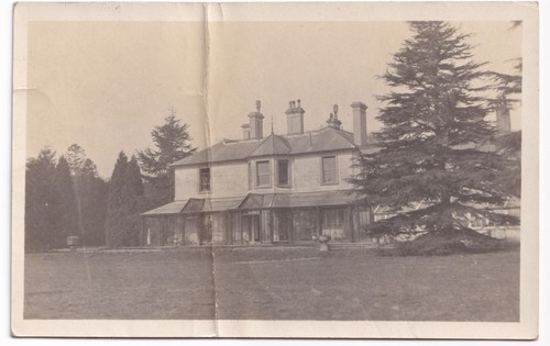 The sycamores mansion old - sycamores,