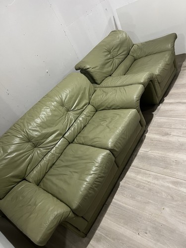 Vintage swan olive green - swan,