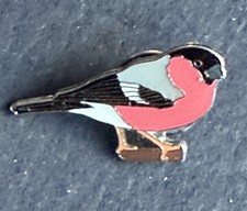Bullfinch Pin. RSPB Bird