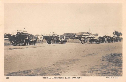 Argentina farm wagons - argentina, horse