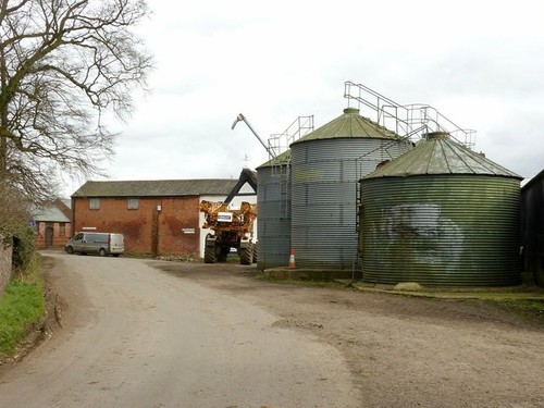 Photo 6x4 dairy - photo,