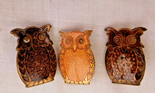 Old girl guides tawny - old, owl