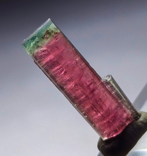Watermelon tourmaline crystal - tourmaline,