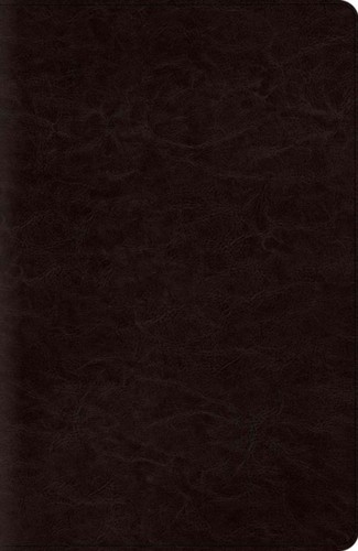 Esv reference bible red - reference,