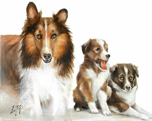 Original oil dog portrait - oil,