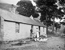 Shepherd's Hut, Rostrevor, Co