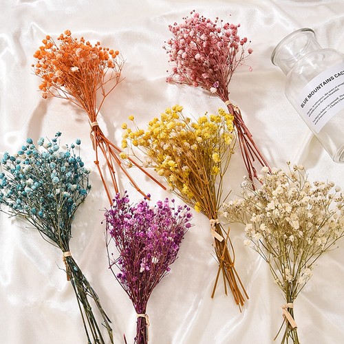 Mini natural dried flowers - natural,