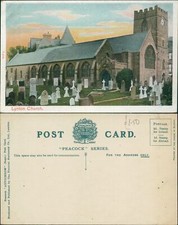 Lynton Church P5775 Peacock