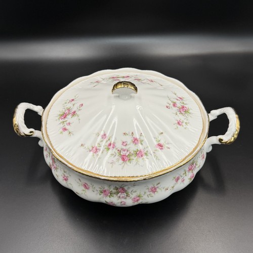 Paragon victoriana rose - rose, large