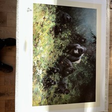 DAVID SHEPHERD, 'MOUNTAIN