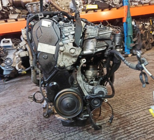 Proace peugeot expert citroen - proace,