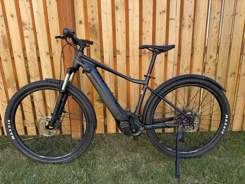 Giant fathom 2 29er - e+,
