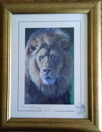 Signed stephen gayford limited - stephen,