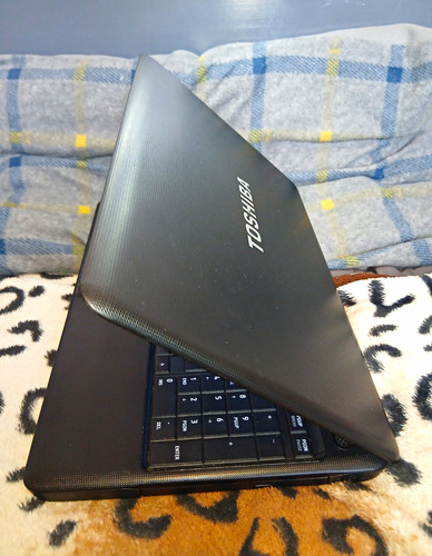 Toshiba satellite 6in amd - satellite,