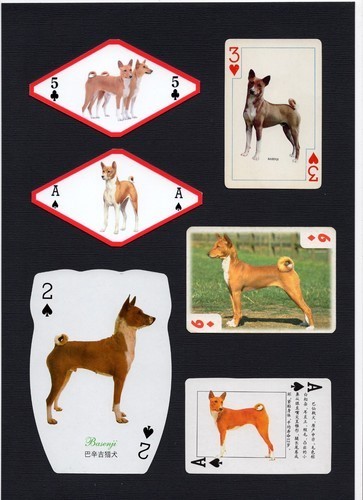 Basenji mounted set vintage - basenji,