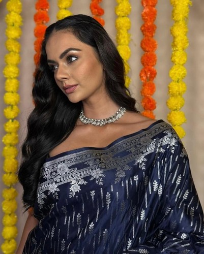 Sari saree party - saree,