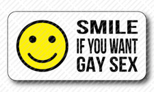 SMILE IF YOU WANT A GAY SEX Gag Joke Prank Funny Hard Hat Toolbox Sticker