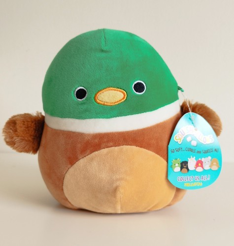 Bnwt squishmallows avery the - bnwt,