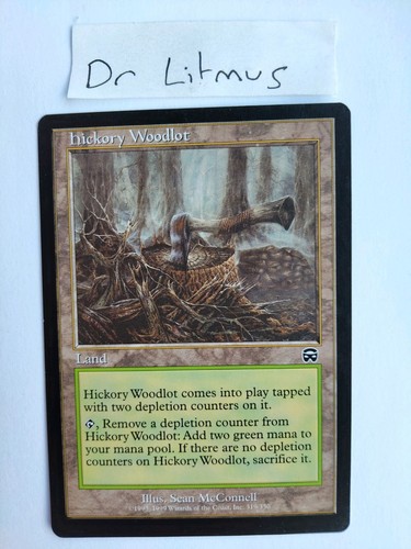 Hickory woodlot mercadian - woodlot,