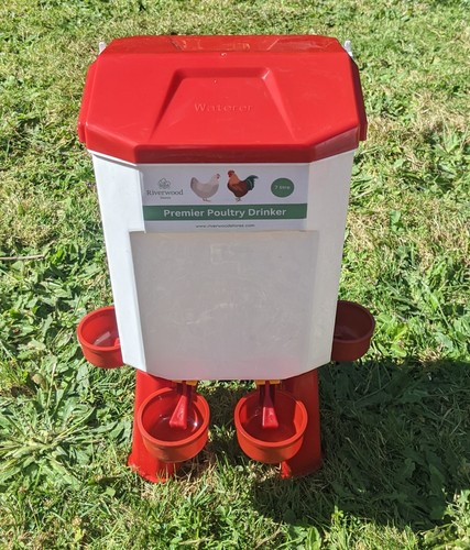 Chicken poultry feeder - poultry,