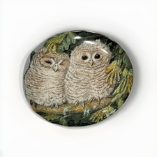 WEDGWOOD - Tawny Owl Chicks