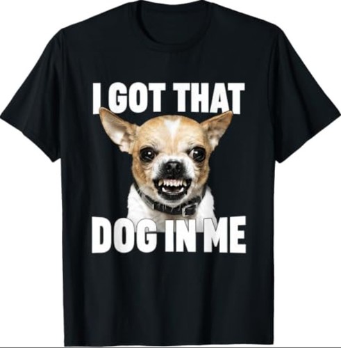 Dog funny chihuahua - in, me