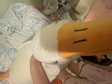 A Stuffed Animal Duck That’s
