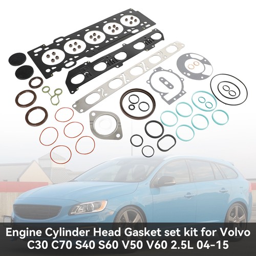 Engine cylinder head gasket - engine,