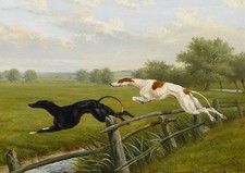GREYHOUND DOG GREETING CARD