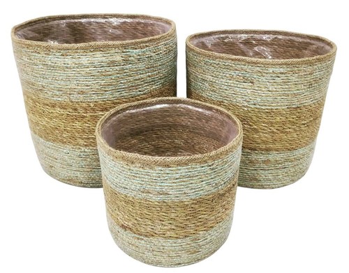 Sage stripe seagrass - seagrass, planter