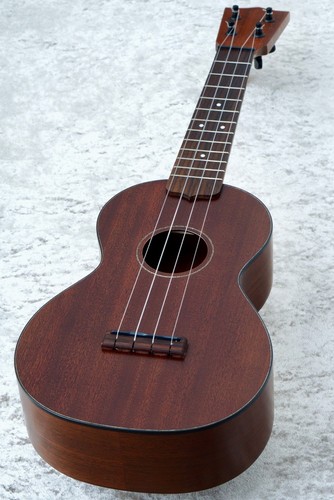 Martin centennial concert - martin,