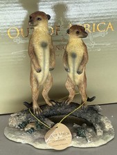 Out Of Africa Meerkats