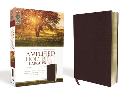 Amplified holy bible large - bible,,