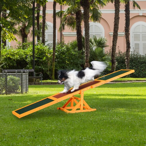 Pet obedience training seesaw - pet,