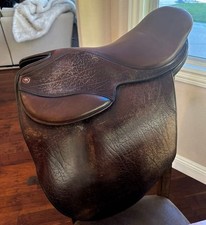 Arabian Saddle Company English