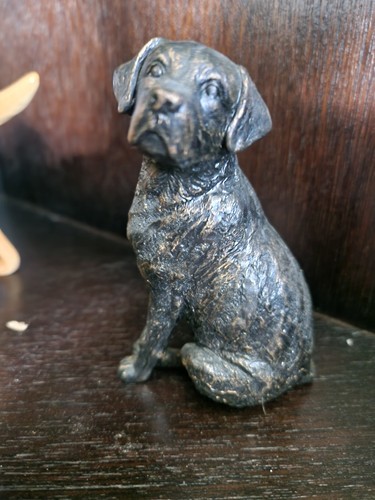 Bronze effect labrador - bronze,