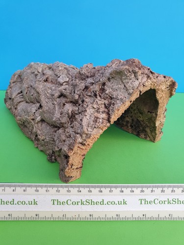 Cork bark turtle - bark,