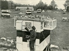 British Army Carrier Pigeons