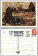 c29574 Lobos Marinos seals Pisco  Peru  postcard 1998 stamp