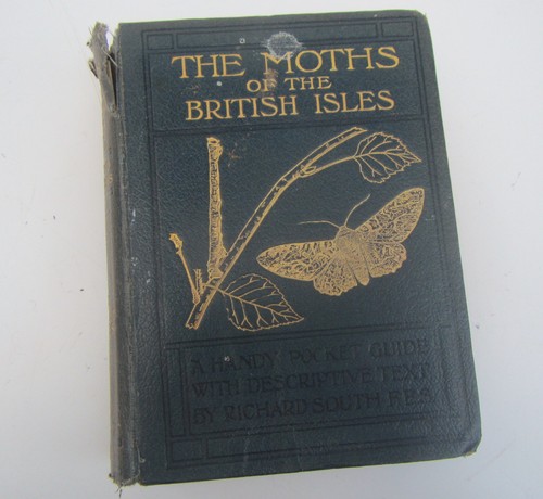 Old the moths british - old,