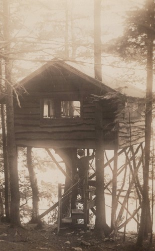 Vintage treehouse cabin