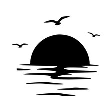 Sunset Birds and Sea Campervan