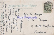 Genealogy Postcard -Hague /