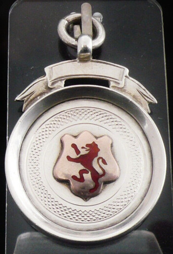 Sterling silver gold enamel - silver,