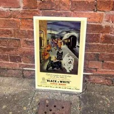 Black and White Scotch whiskey