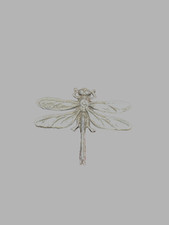 Vintage Dragonfly Brooch –