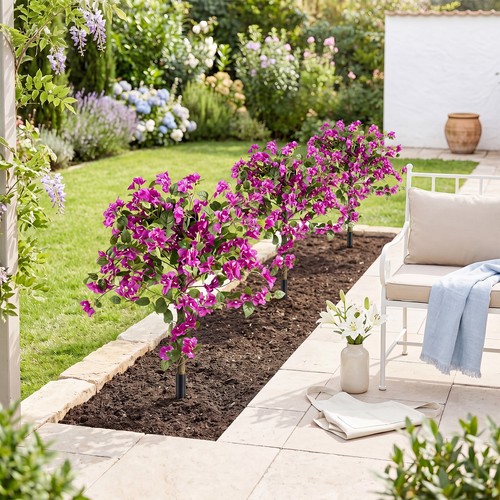 Pack bougainvillea - 2,